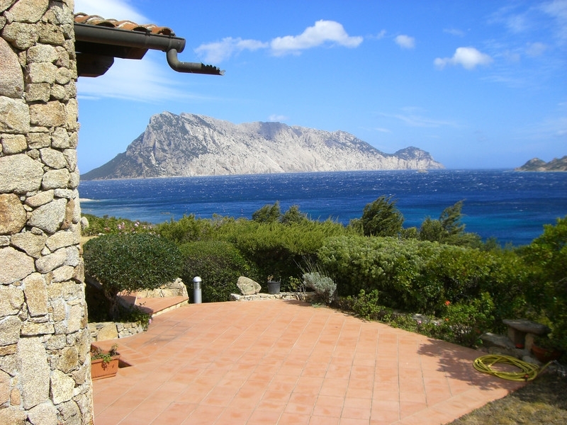Blick auf die Insel Tavolara Bungalow San Teodoro