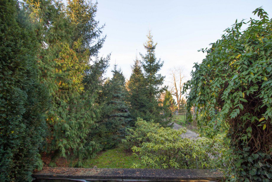 Grundst�ck mit Baumbestand Einfamilienhaus Sch�nefeld