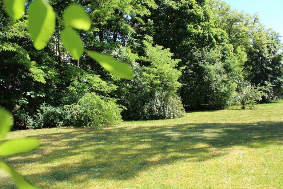 Herrlicher Baumbestand Wohngrundst�ck Berlin
