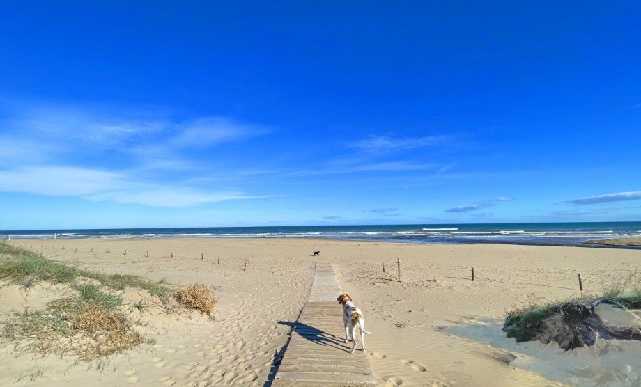 Traumstrand direkt vor der Haust�r Penthousewohnung Oliva