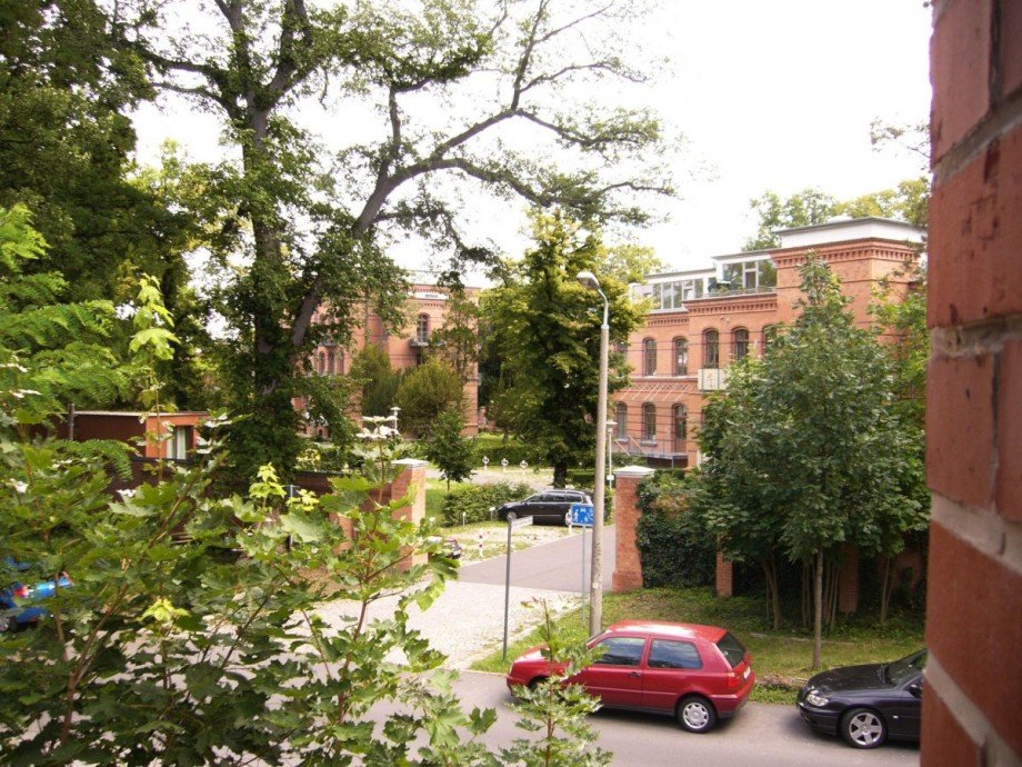 Blick zum Parc du Bois Einfamilienhaus Potsdam