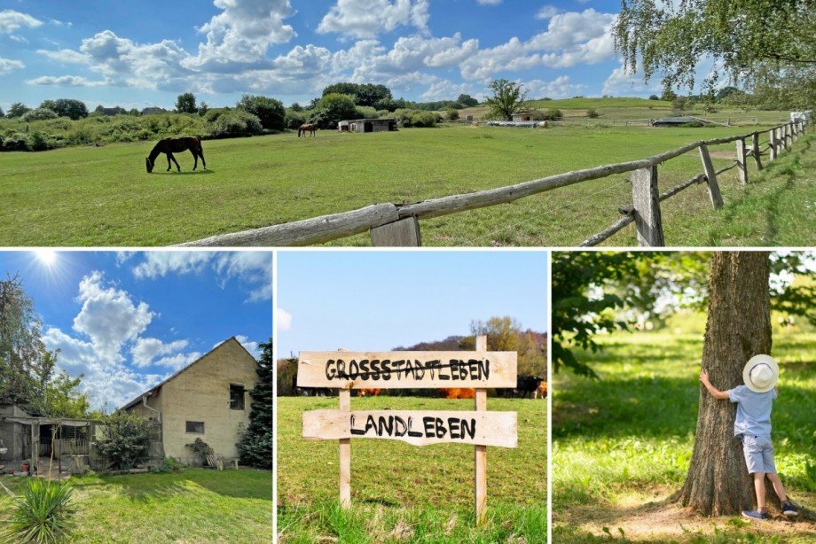 Landleben genie�en Mehrfamilienhaus Ankershagen Bocksee