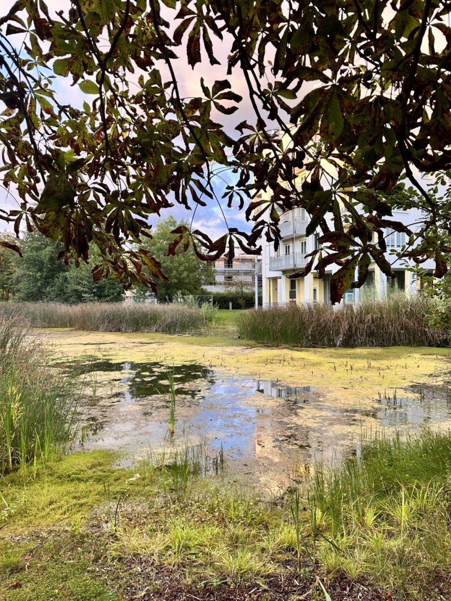 Au�enanlage Etagenwohnung Sch�nefeld