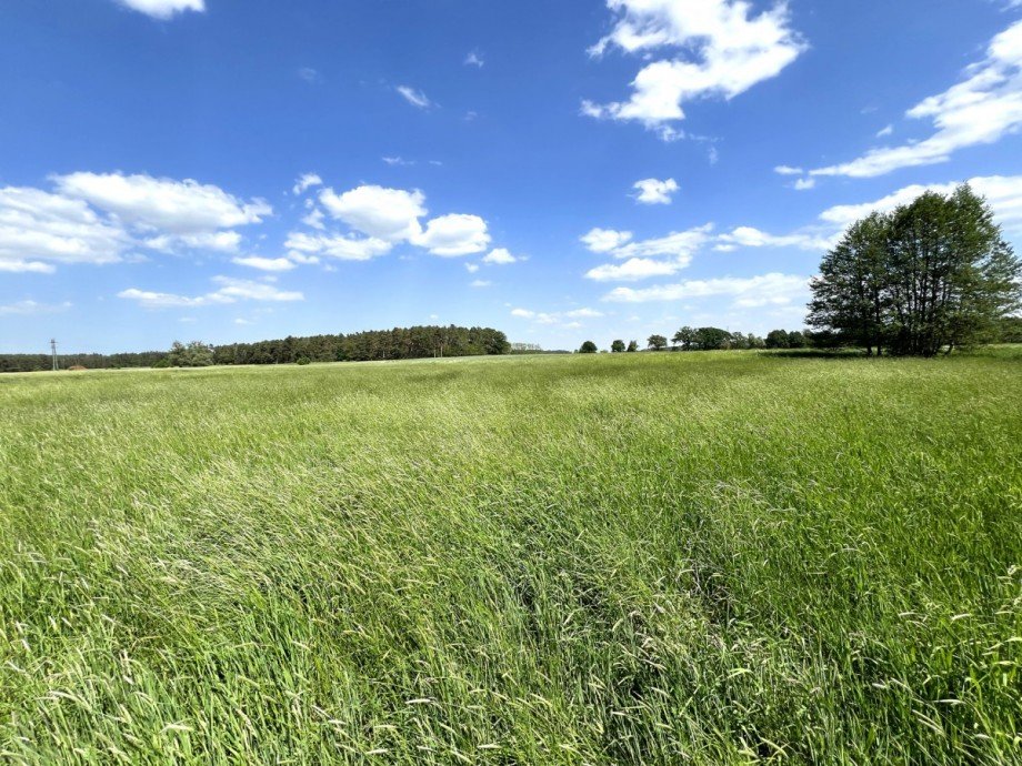 4,3 ha Grundst�ck Resthof Bensdorf