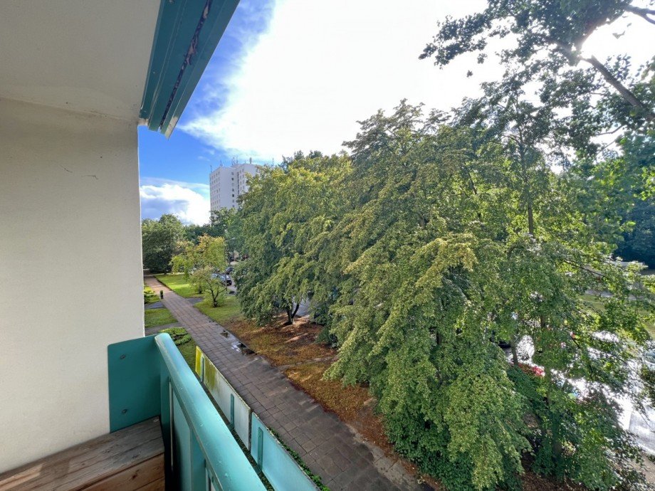 ... und unverbauten Blick ins Gr�ne Etagenwohnung Potsdam