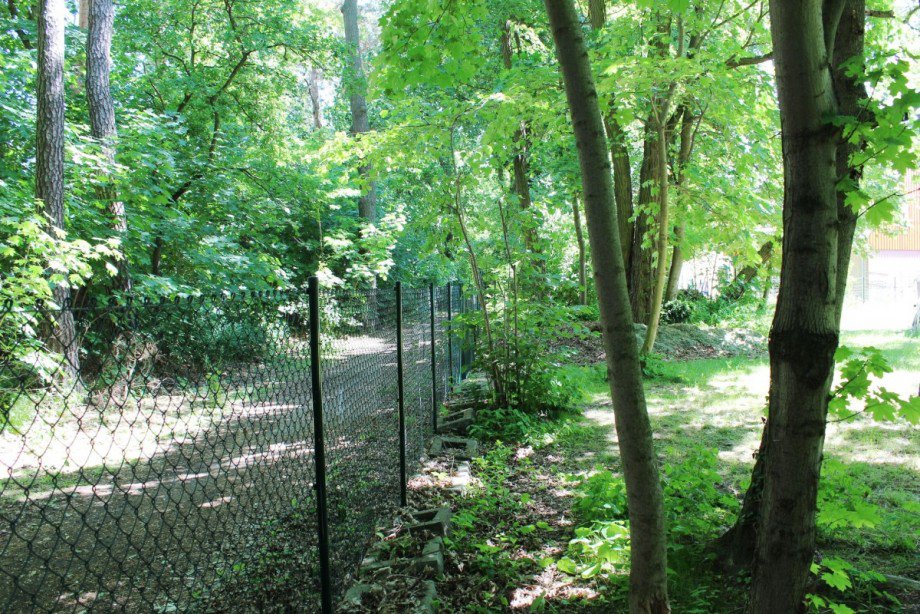 Seitliche Grundst.Einfassung Wohngrundst�ck Berlin