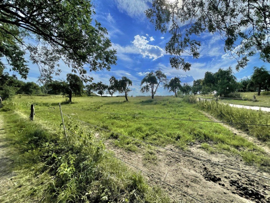 ...umgeben von Feldern, Wiesen & W�ldern Doppelhaush�lfte Gro� Kelle