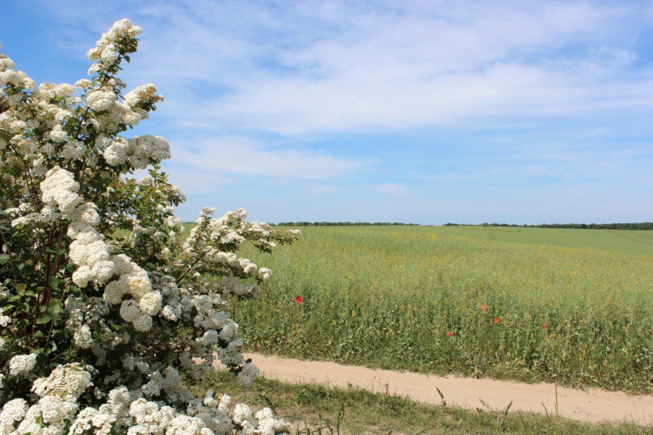 IMG_0988 Einfamilienhaus Goldberg