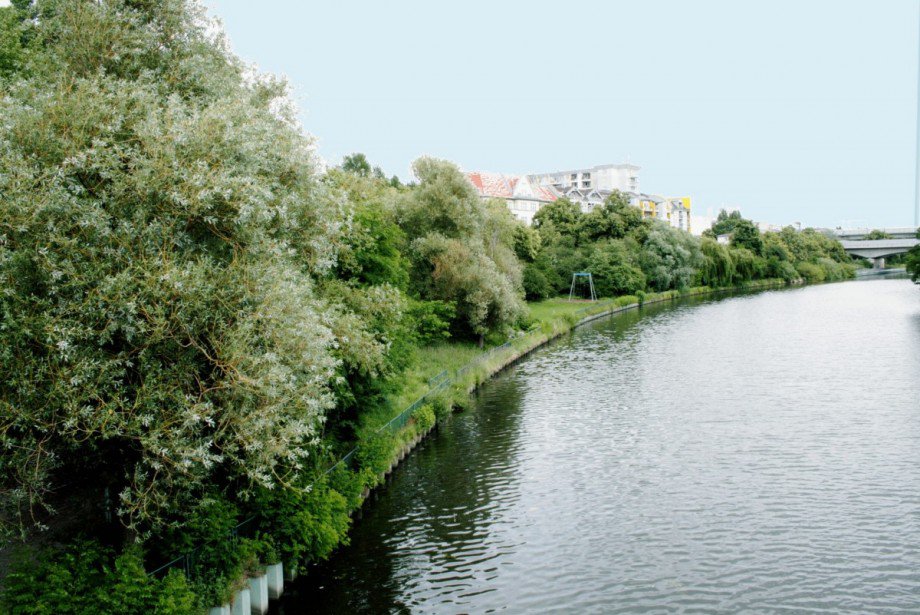 Stadtdomizil dicht Nordufer Etagenwohnung Berlin Wedding