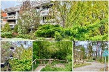 Collage Aussen ++ Perfekte Lage am Park ++ Wohnen im Gr�nen zwischen Olympiastadion und Drachenberg - vermietet!