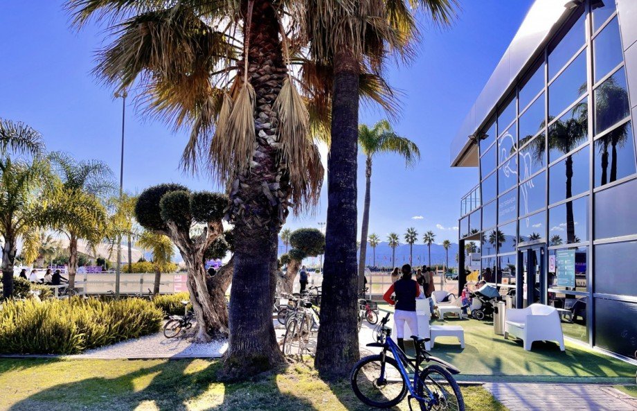 ... in der exklusiven Reitsportanlage Penthousewohnung Oliva