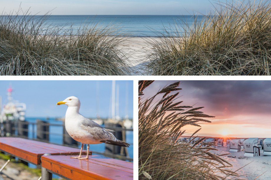 Collage Warnem�nde Ferienhaus Lambrechtshagen / Sievershagen