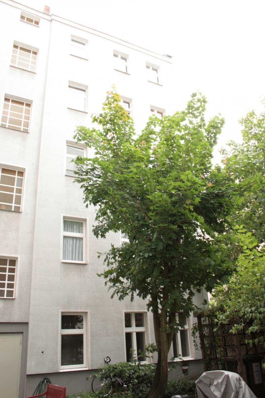 angelegter Hof Erdgeschosswohnung Berlin Mitte