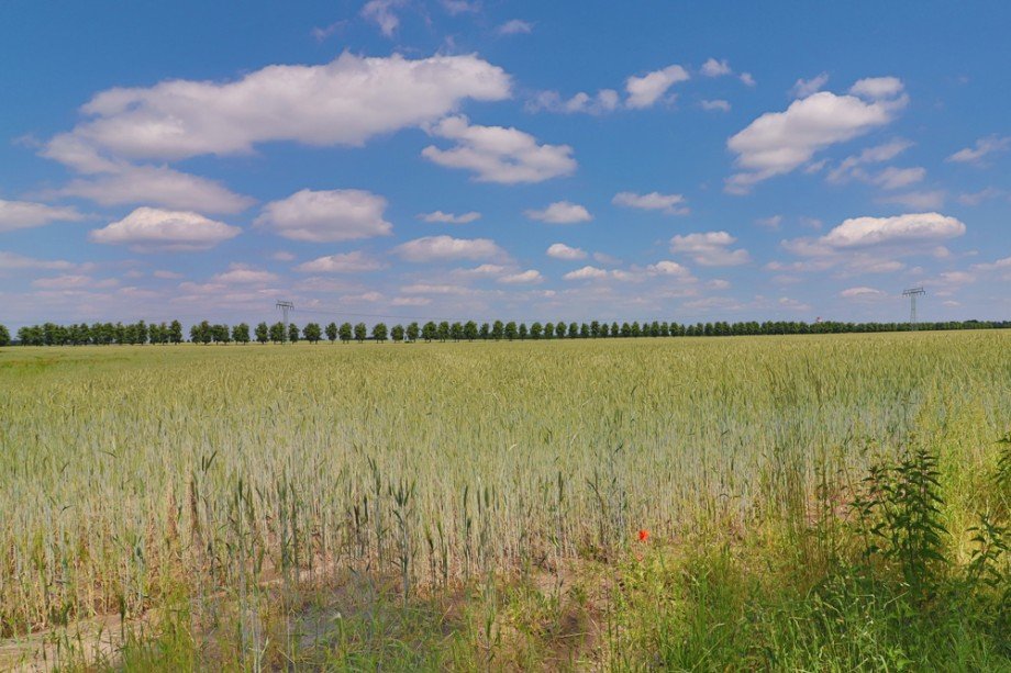 Aussicht Wohngrundst�ck Sch�nefeld