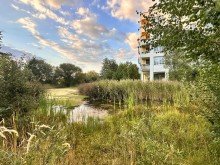 1. Titel Kapitalanlage zwischen Biotop und BER in Sch�nefeld