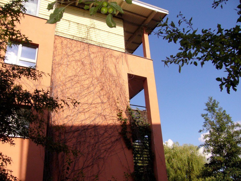 Giebelseite.jpg Dachgeschosswohnung Berlin Niedersch�nhausen