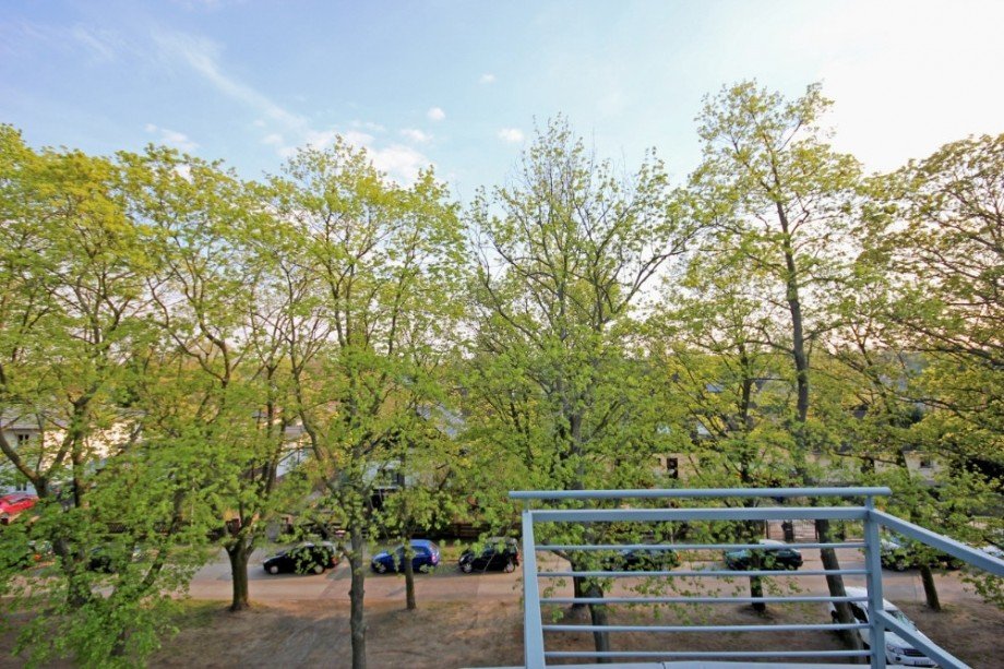 Sommeransicht Ausblick Terrasse Dachgeschosswohnung Berlin / Heiligensee