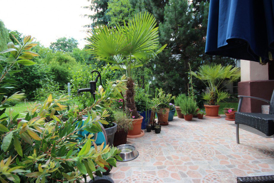 S�dterasse Villa Berlin