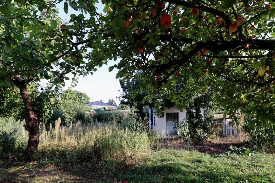 Ansicht Garten Einfamilienhaus Sch�nefeld