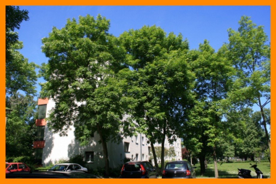 Gegenueber Etagenwohnung Berlin Treptow
