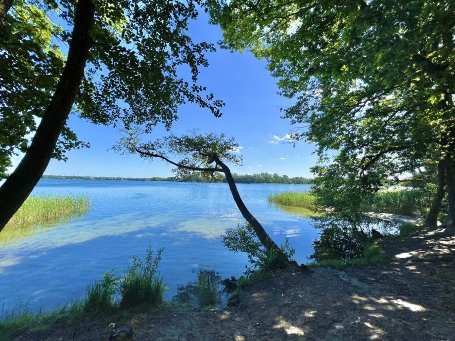 in wenigen Minuten am Wandlitzer See Wohngrundst�ck Wandlitz / Stolzenhagen