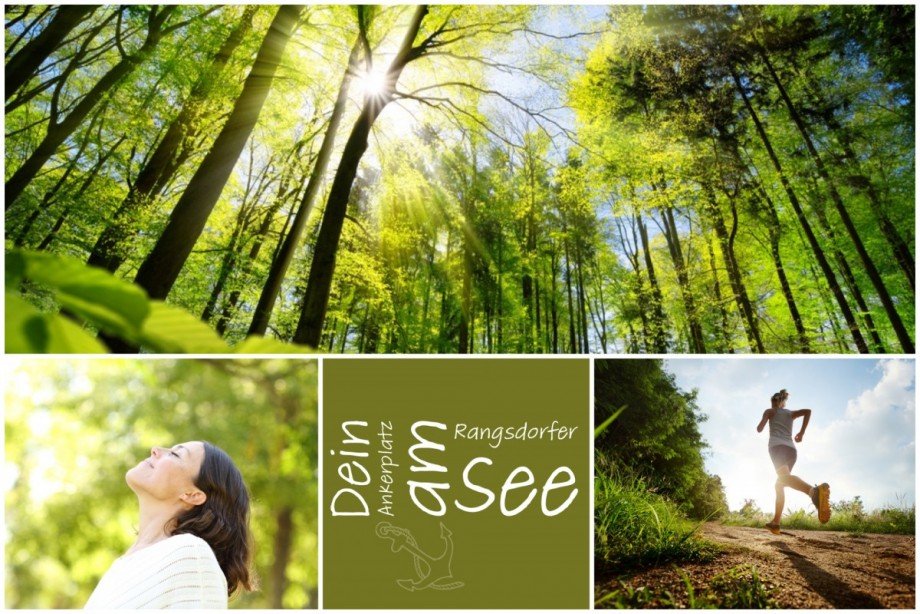 perfekt f�r Naturliebhaber Dachgeschosswohnung Rangsdorf