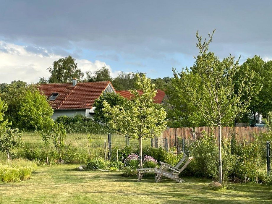 Blick in den Garten Doppelhaush�lfte Potsdam / Golm