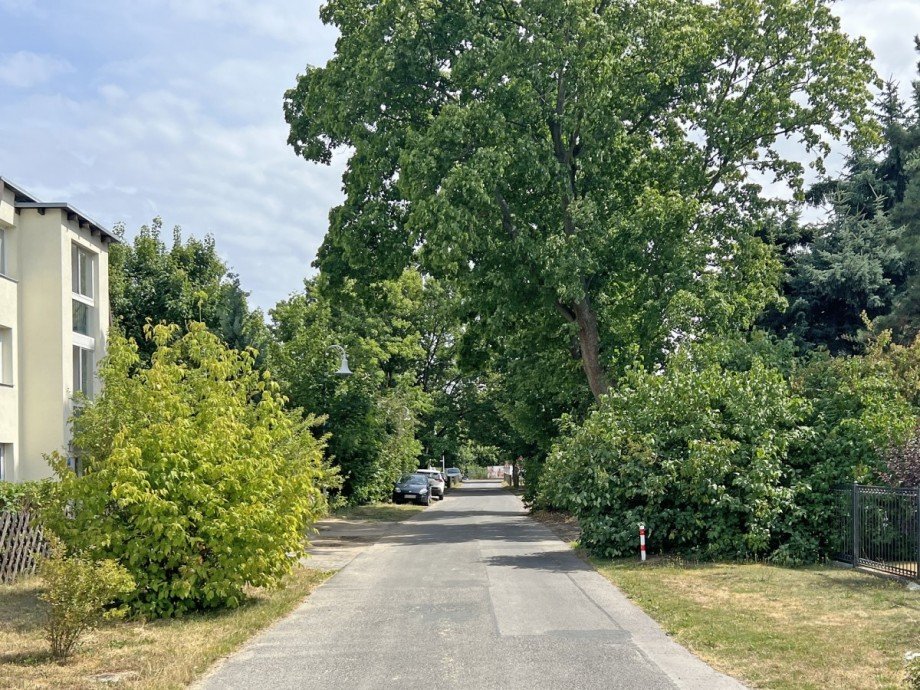 Stra�enansicht Wohngrundst�ck Sch�nefeld