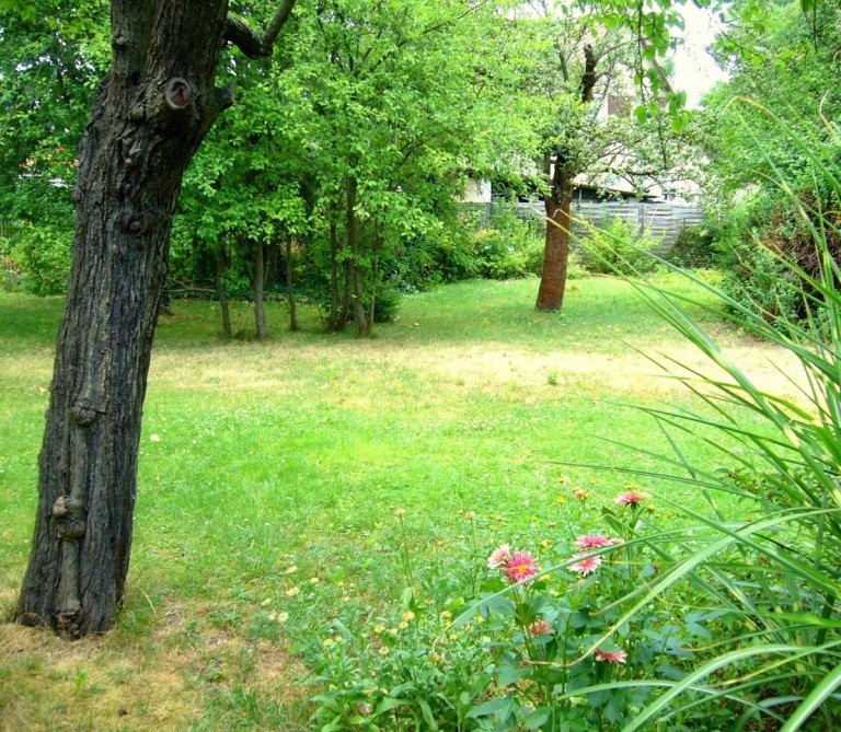 Landsberger Str.jpg Berlin Mahlsdorf Wohngrundst�ck ++ �pfel. Johannisbeeren. Himbeeren; idyllischer Baugrund++