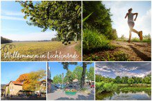 in der Nachbarschaft zu Wald und Wiesen Nest im Gr�nen zum Verlieben ** sonnig, kuschelig & ruhig**. Hier k�nnen Sie sofort einziehen !