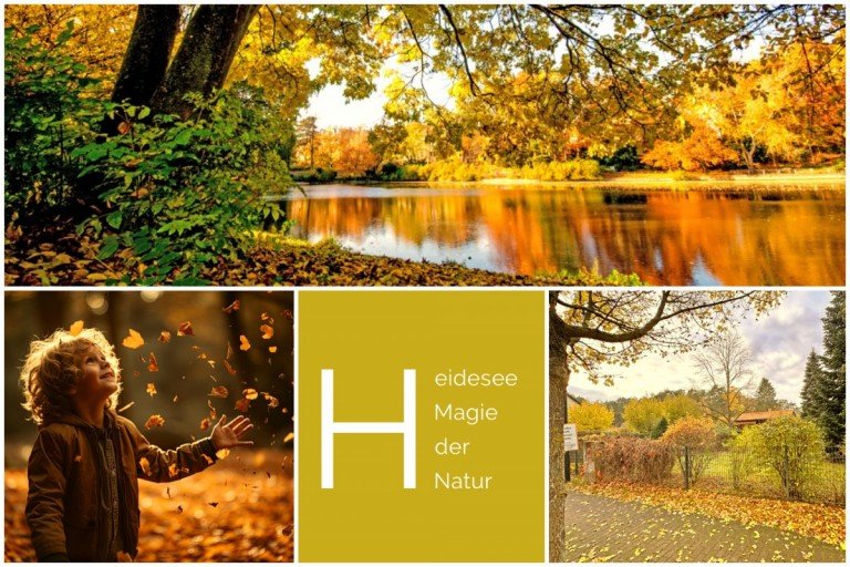 Grundst�ck mit Bungalow Heidesee Bungalow Vom Wochenendidyll zur Lebensoase: Sch�nes Grundst�ck mit Bungalow!