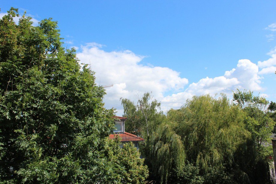 Blick in den Garten Dachgeschosswohnung Berlin Pankow
