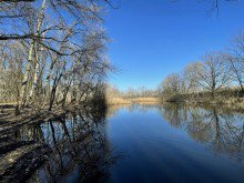 Wohnen am kleinen See Grundst�ck in der Nachbarschaft zum kleinen See- �berraschend anders - naturnah - in Sch�nefeld !