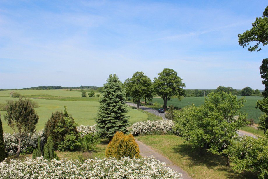 IMG_1034 Einfamilienhaus Goldberg