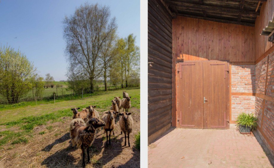 Eingang Stall Einfamilienhaus Poseritz / R�gen