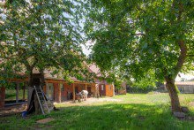 Garten Geh�ft nahe M�ritz mit 2 Wohnh�usern ** viel Nebengelass ** gro�e Scheune ** Wohn-/Nutzfl�che 680 m�