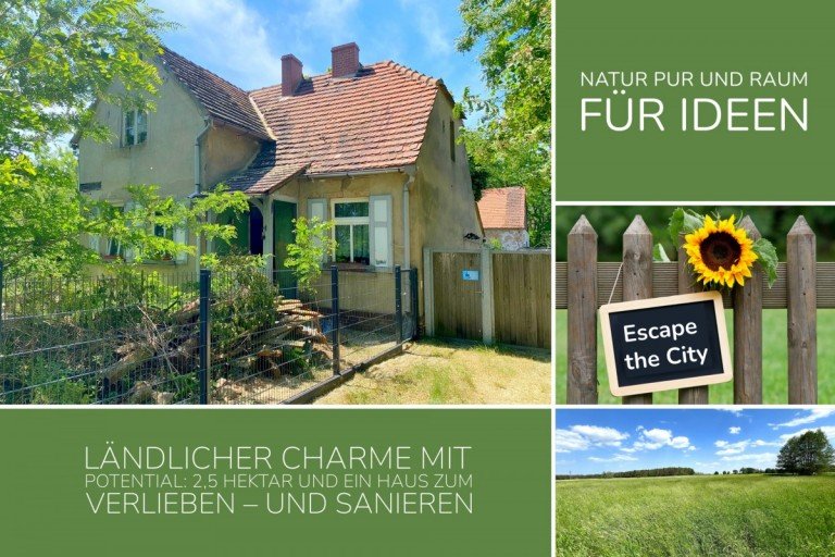 L�ndlicher Charme Bensdorf Resthof L�ndlicher Charme mit Potential: 2,5 Hektar und ein Haus zum Verlieben - und Sanieren!