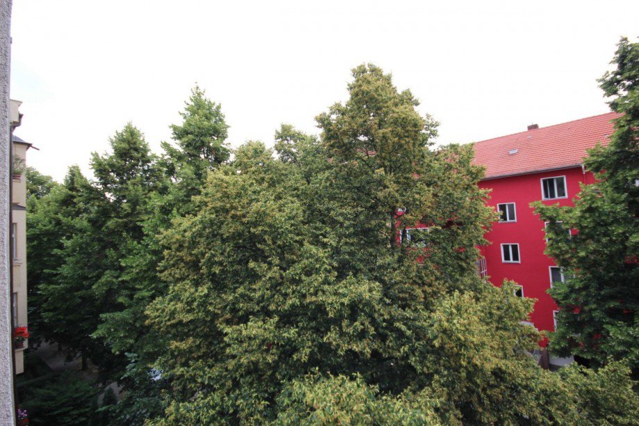 Ausblick zur Stra�enseite Etagenwohnung Berlin Schmargendorf
