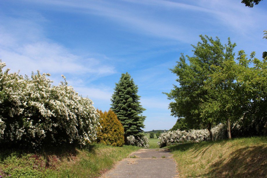 IMG_0976 Einfamilienhaus Goldberg