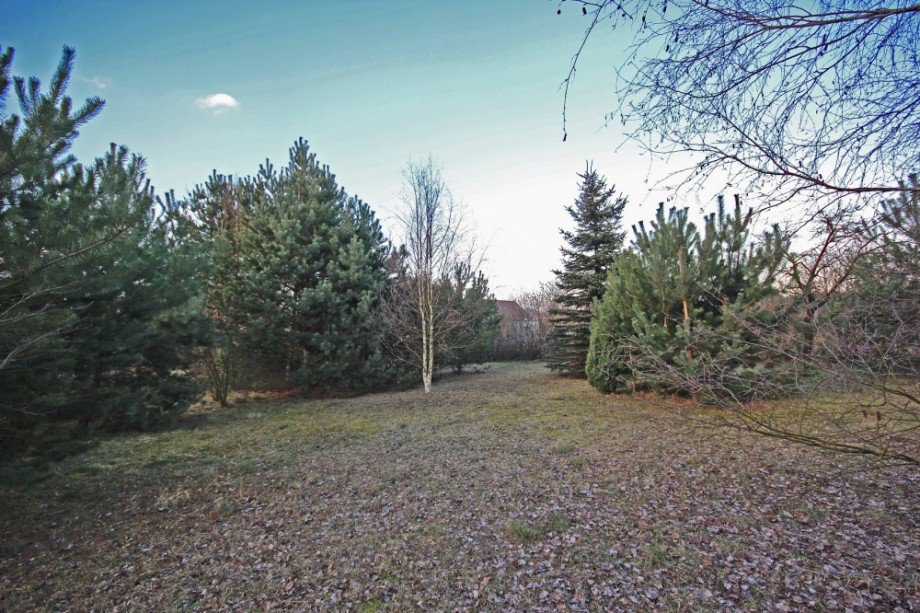 Grundst�ck Bauernhaus Kloster Lehnin