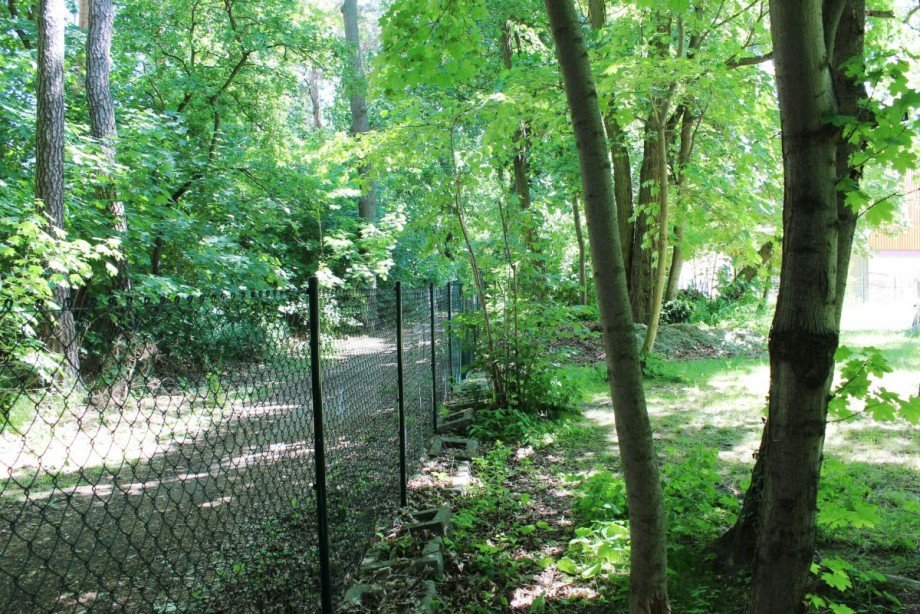 Seitliche Grundst.Einfassung Wohngrundst�ck Berlin