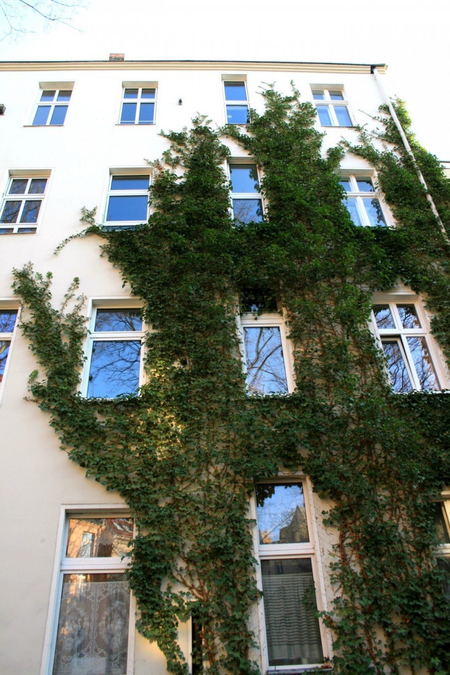 Hoffeuerbach.jpg Etagenwohnung Berlin Steglitz