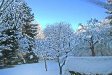 Winterzauber: Blick in den verschneiten Garten Landhaus mit viel Platz auf 3 Etagen **8 Zimmer + 2 Hobbyr�ume** gro�er Garten in S�dlage!!