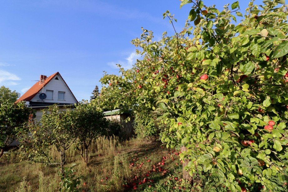 Garten Einfamilienhaus Sch�nefeld