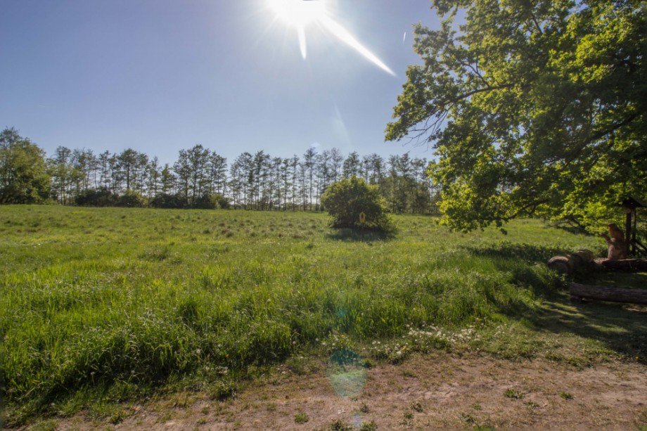 Naturschutzgebiet Wohngrundst�ck Falkensee