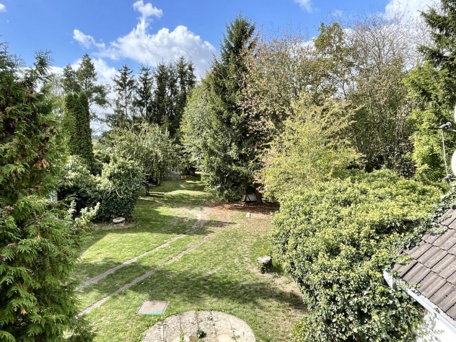 sch�ner Blick in den Garten Einfamilienhaus Gro� Pankow