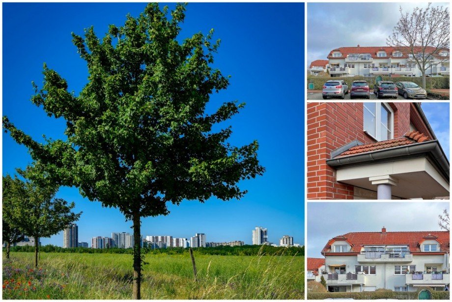 Wohnqualit�t + Freiraum im Gr�nen Dachgeschosswohnung Gro�ziethen