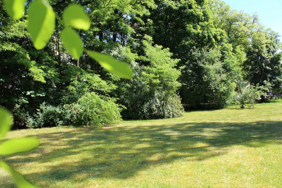 Herrlicher Baumbestand Wohngrundst�ck Berlin