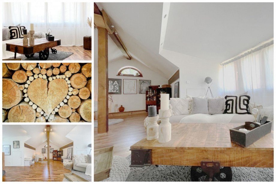 Collage Dach Einfamilienhaus Potsdam
