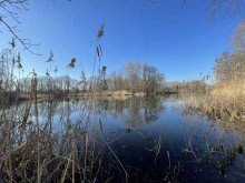 direkt vor Ihrer Haust�r Grundst�ck in der Nachbarschaft zum kleinen See- �berraschend anders - naturnah - in Sch�nefeld !